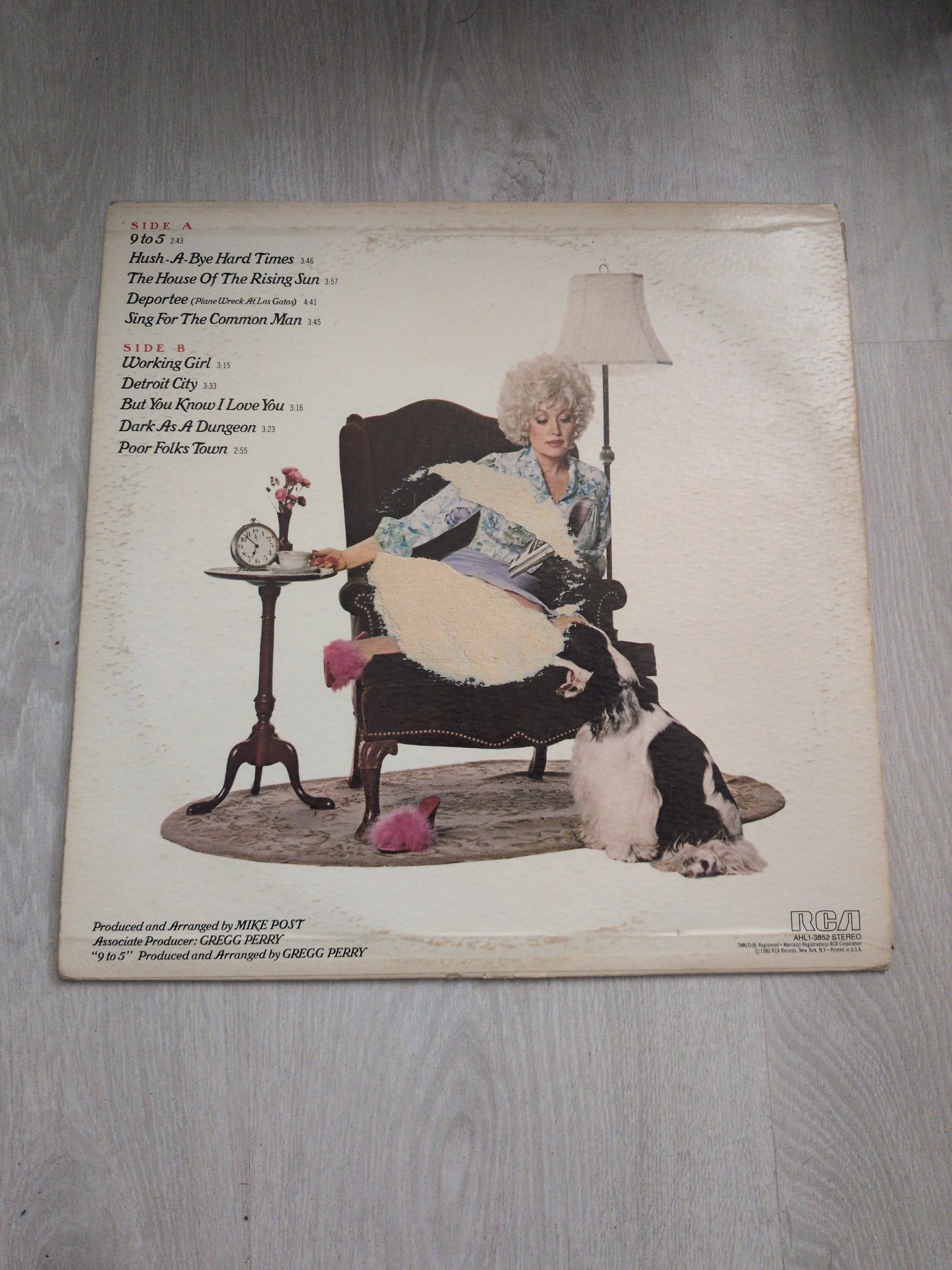 Dolly - Odd jobs