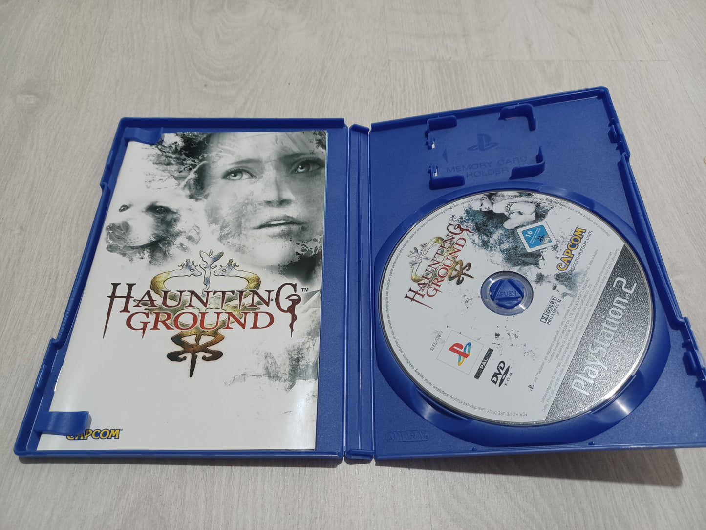 Haunting Ground