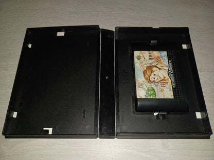 Alex kidd in the enchanted castle