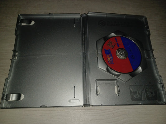 Sonic adventure DX director’s cut