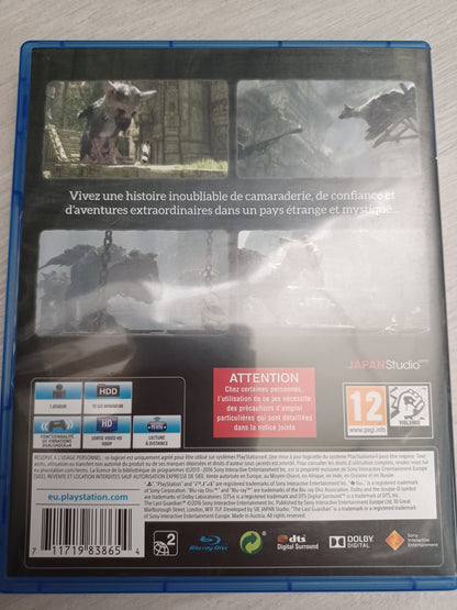 The last guardian
