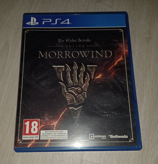 The elder scrolls morrowind