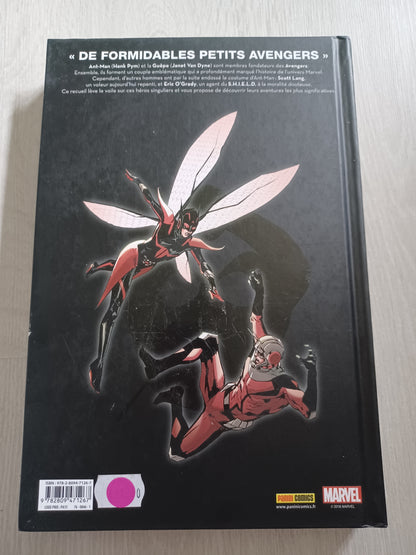 Nous sommes ant-man et la guêpe