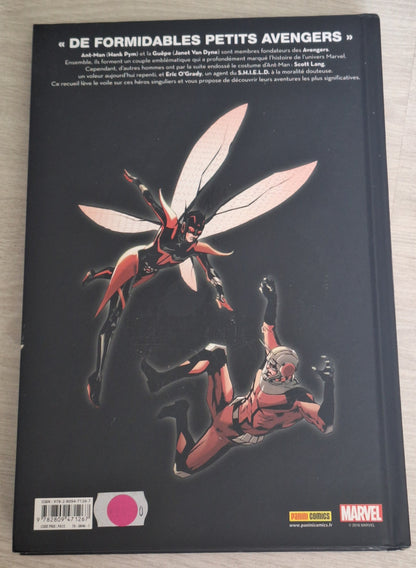 Nous sommes Ant-Man et la Guêpe