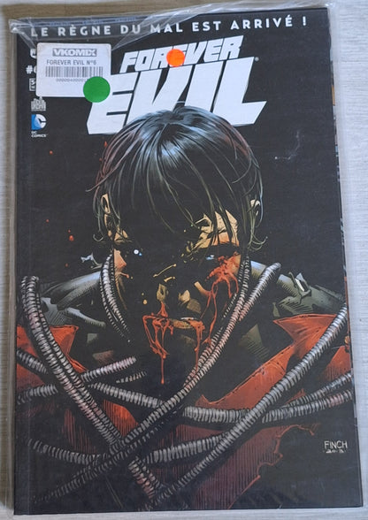 Forever Evil : volume 6