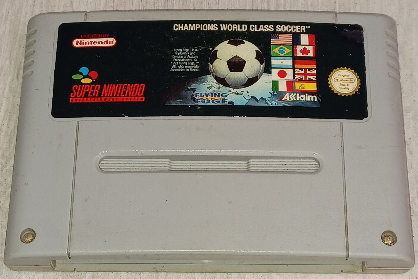 Champions world class soccer