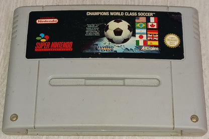 Champions world class soccer
