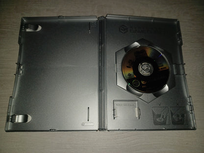 Sonic heroes (le choix des joueurs)
