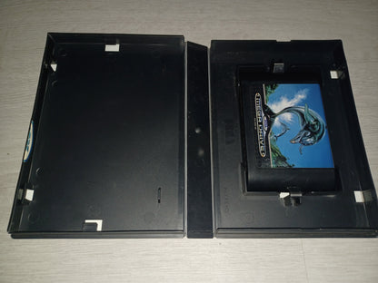 Ecco the dolphin