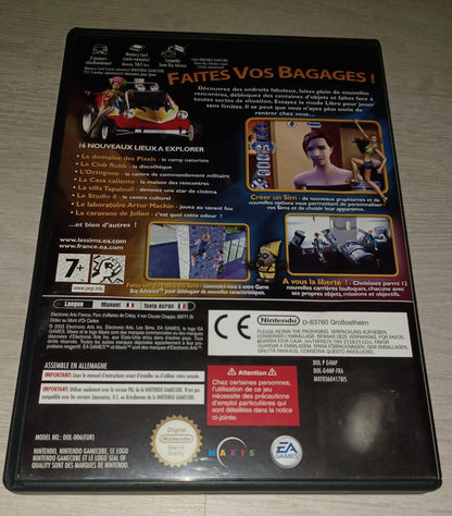 Les sims : Permis de sortir