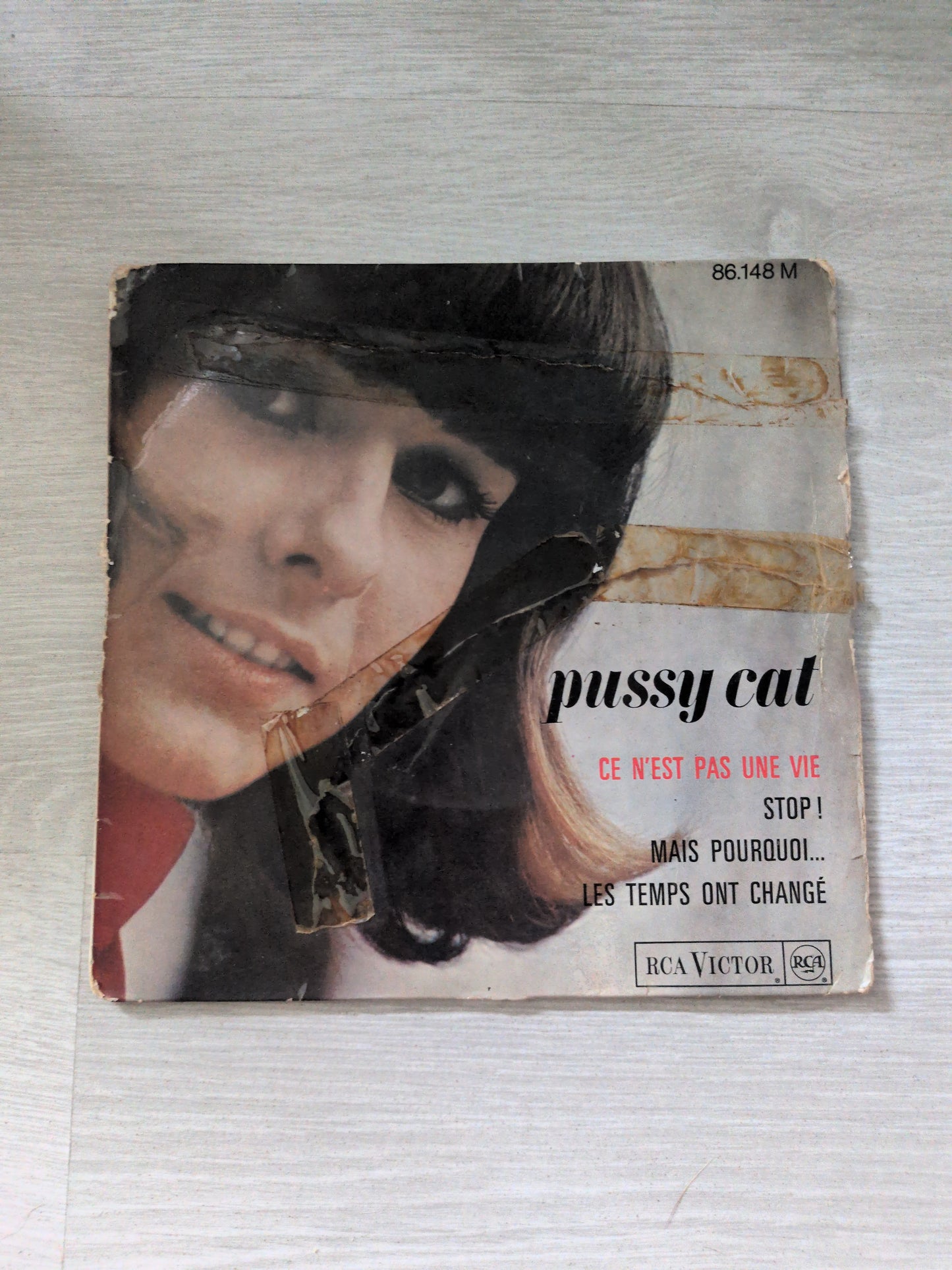 Pussy cat