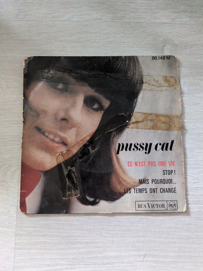 Pussy cat
