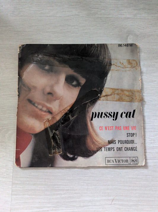 Pussy cat