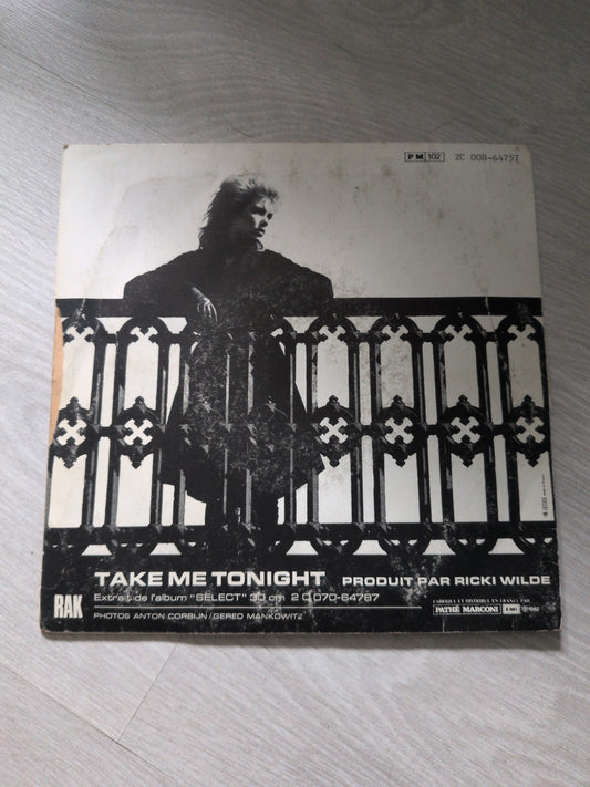 Kim wilde - View from a bridge