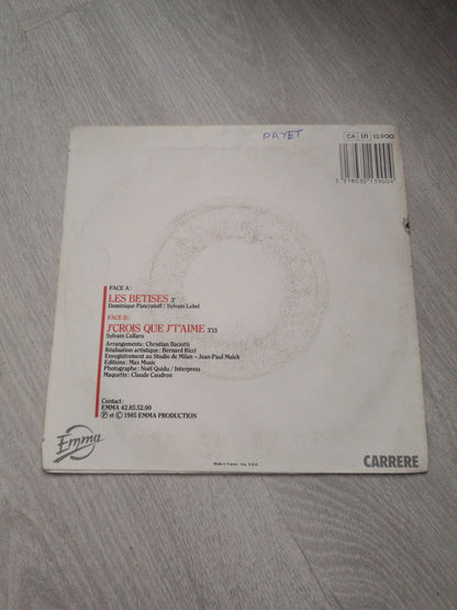 Sabine Paturel - Les bêtises