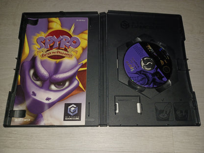 Spyro enter the dragonfly