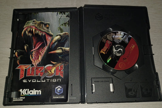 Turok evolution