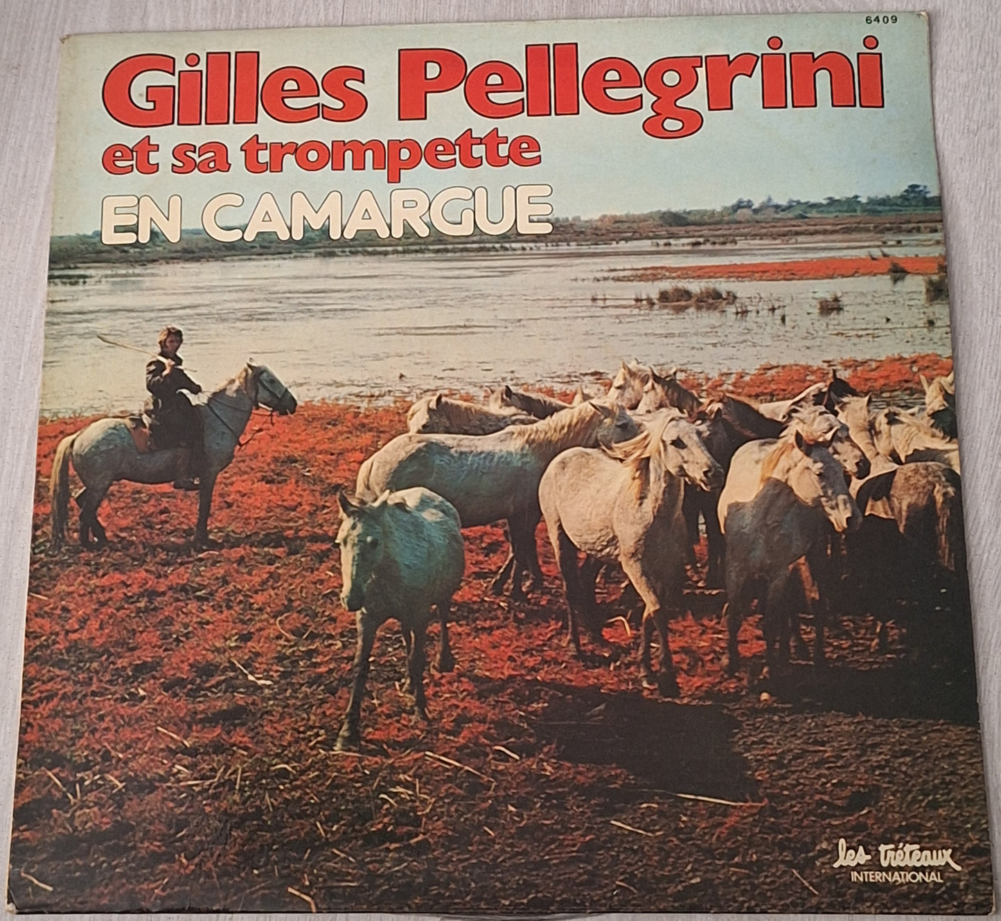 Gilles PELLEGRINI et sa trompette en CAMARGUE