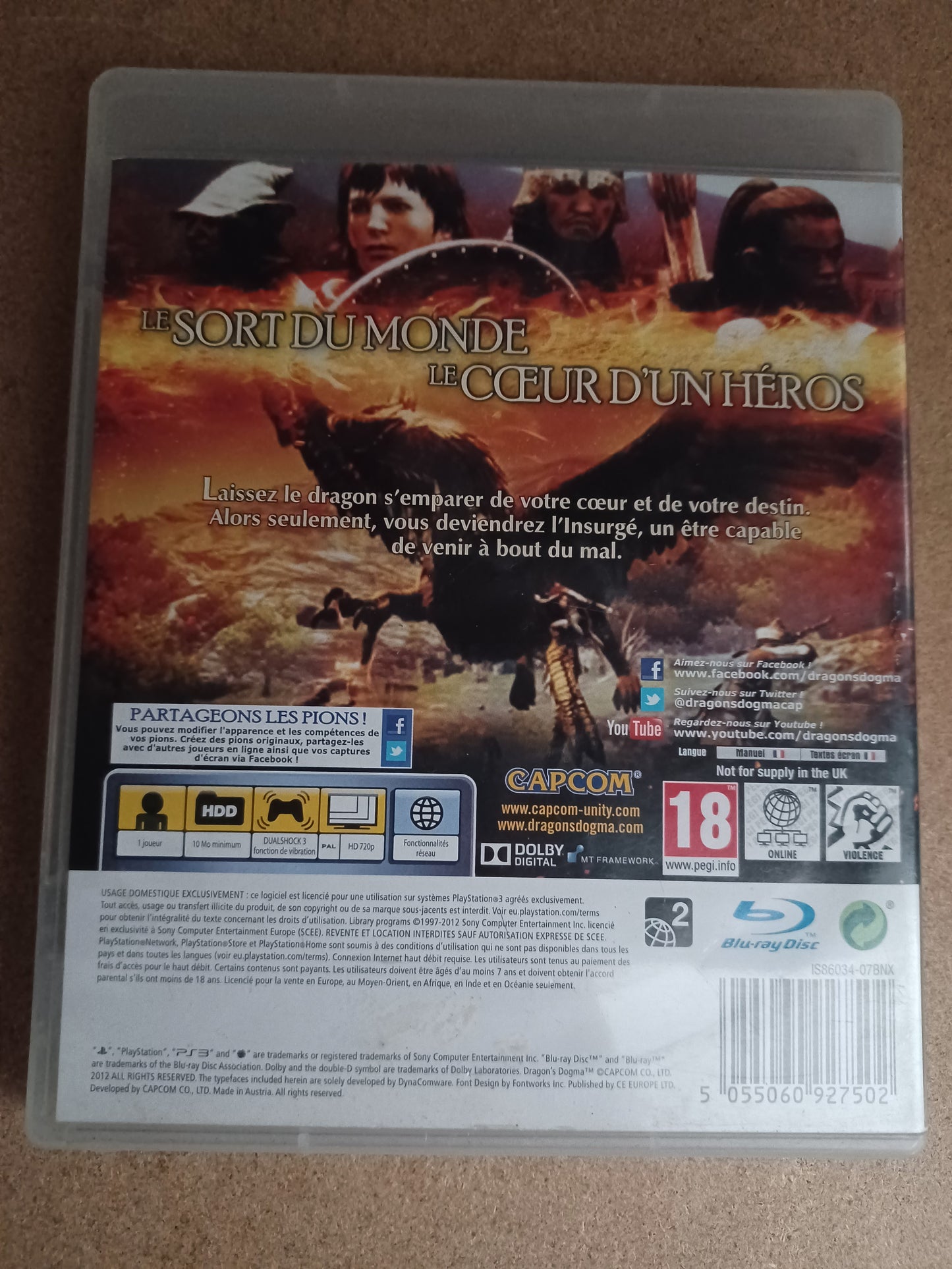 Dragon's dogma