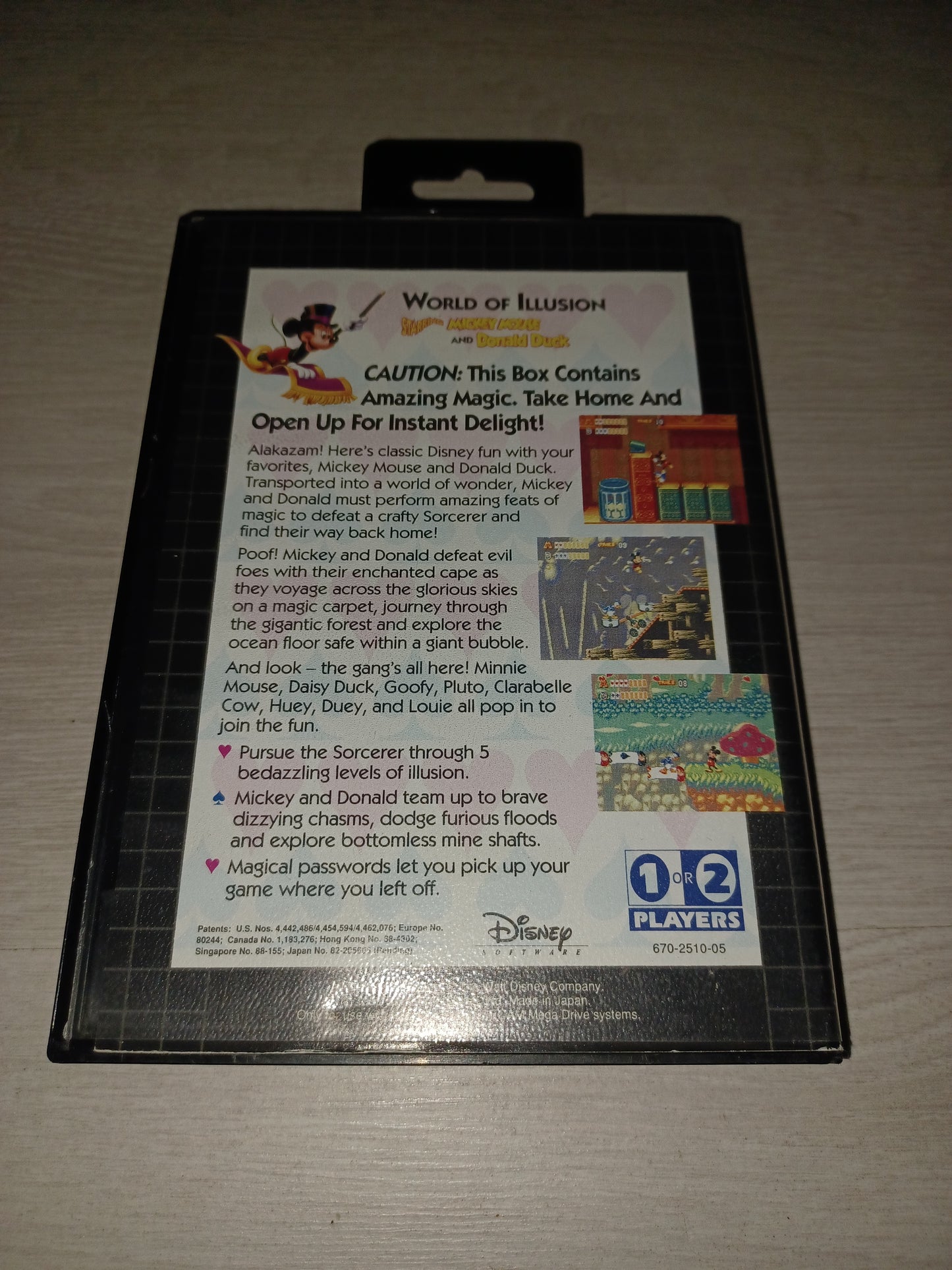 World of illusion starring Mickey mouse and donald duck