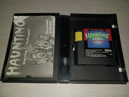 Haunting