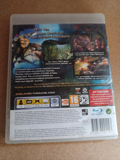 Enslaved : odyssey to the west