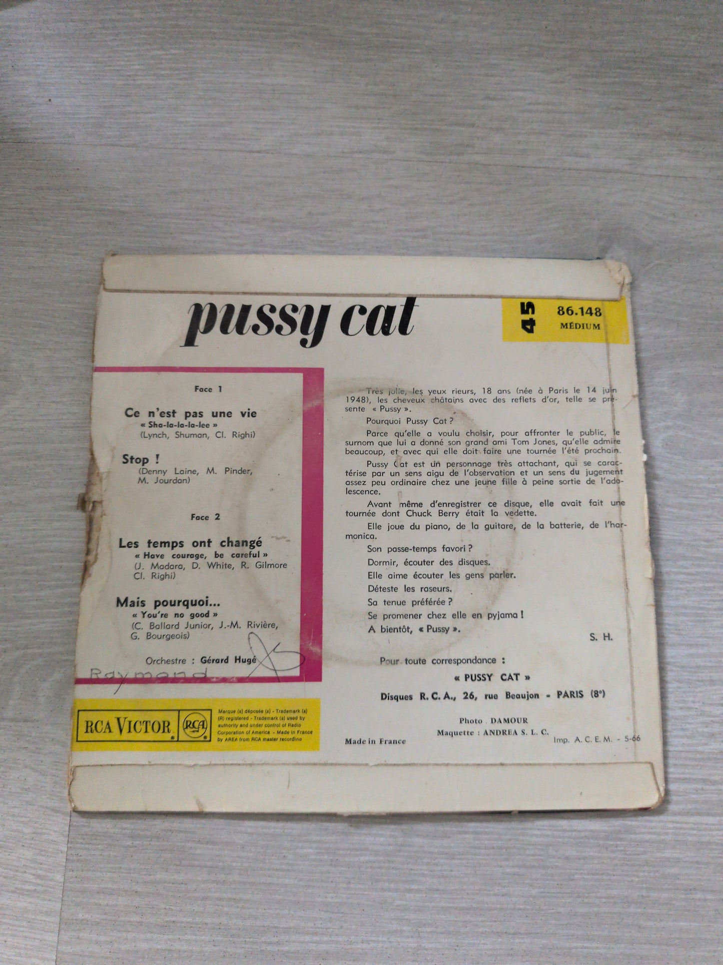 Pussy cat
